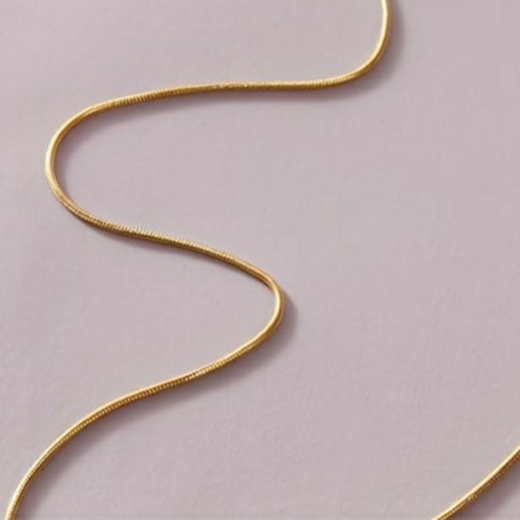 Simple Snake Bone Chain - Picture 6 of 6